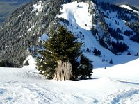 2014-01-25 11.04.04  Fence posts stored for the winter
